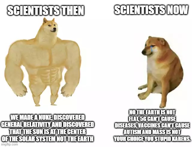 scientist meme (edited) | SCIENTISTS NOW; SCIENTISTS THEN; NO THE EARTH IS NOT FLAT, 5G CAN'T CAUSE DISEASES, VACCINES CAN'T CAUSE AUTISM AND MASS IS NOT YOUR CHOICE YOU STUPID KARENS. WE MADE A NUKE, DISCOVERED GENERAL RELATIVITY AND DISCOVERED THAT THE SUN IS AT THE CENTER OF THE SOLAR SYSTEM NOT THE EARTH | image tagged in buff doge vs cheems | made w/ Imgflip meme maker
