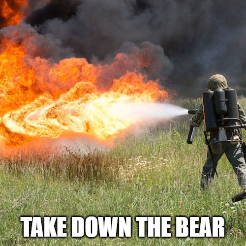 TAKE DOWN THE BEAR | made w/ Imgflip meme maker
