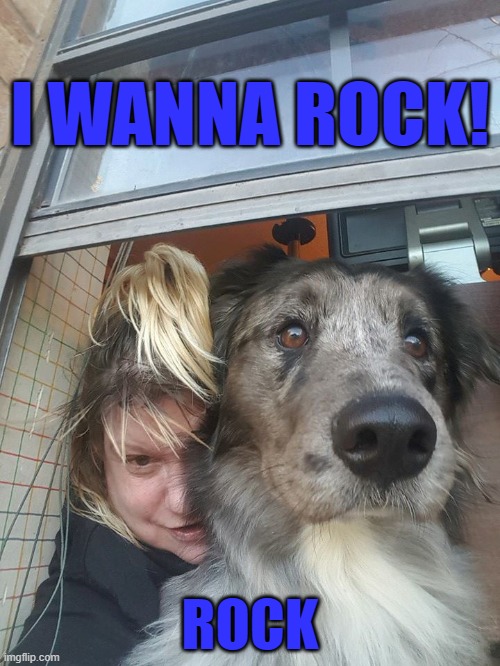 FUZZ WANTS TO ROCK | I WANNA ROCK! ROCK | image tagged in i wanna rock,dogs | made w/ Imgflip meme maker