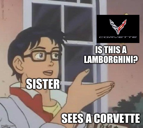 For all you people who know some cars | IS THIS A LAMBORGHINI? SISTER; SEES A CORVETTE | image tagged in memes,is this a pigeon | made w/ Imgflip meme maker