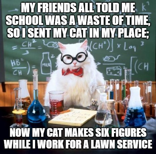 Chemistry Cat Meme | MY FRIENDS ALL TOLD ME SCHOOL WAS A WASTE OF TIME, SO I SENT MY CAT IN MY PLACE;; NOW MY CAT MAKES SIX FIGURES WHILE I WORK FOR A LAWN SERVICE | image tagged in memes,chemistry cat | made w/ Imgflip meme maker