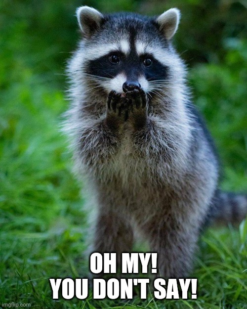 Shocked raccoon | OH MY! YOU DON'T SAY! | image tagged in shocked raccoon | made w/ Imgflip meme maker