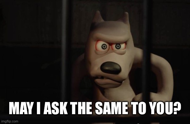 Staring Dog | MAY I ASK THE SAME TO YOU? | image tagged in staring dog | made w/ Imgflip meme maker