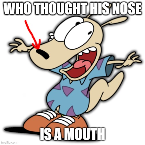 Who thought Rocko's nose is a mouth | WHO THOUGHT HIS NOSE; IS A MOUTH | image tagged in rocko,rocko's modern life | made w/ Imgflip meme maker