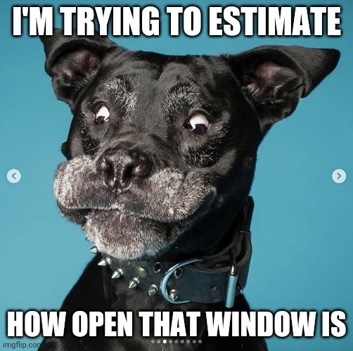 Indubitably Dog | I'M TRYING TO ESTIMATE HOW OPEN THAT WINDOW IS | image tagged in indubitably dog | made w/ Imgflip meme maker