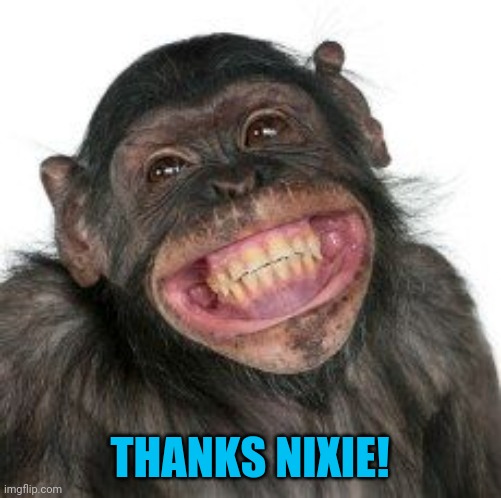 Grinning Chimp | THANKS NIXIE! | image tagged in grinning chimp | made w/ Imgflip meme maker