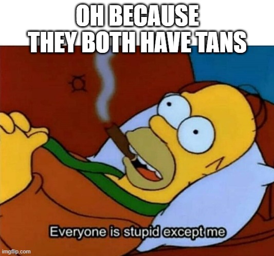 Everyone is stupid except me | OH BECAUSE THEY BOTH HAVE TANS | image tagged in everyone is stupid except me | made w/ Imgflip meme maker