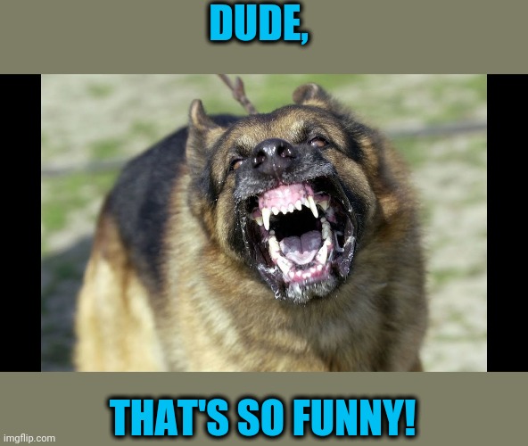 Let's pretend he's laughing | DUDE, THAT'S SO FUNNY! | image tagged in dog,yo ass | made w/ Imgflip meme maker