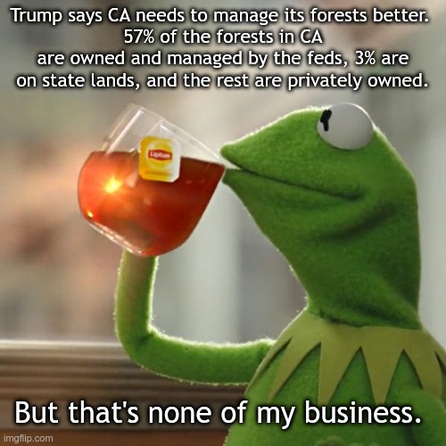 But That's None Of My Business | Trump says CA needs to manage its forests better. 
57% of the forests in CA are owned and managed by the feds, 3% are on state lands, and the rest are privately owned. But that's none of my business. | image tagged in memes,but that's none of my business,kermit the frog | made w/ Imgflip meme maker