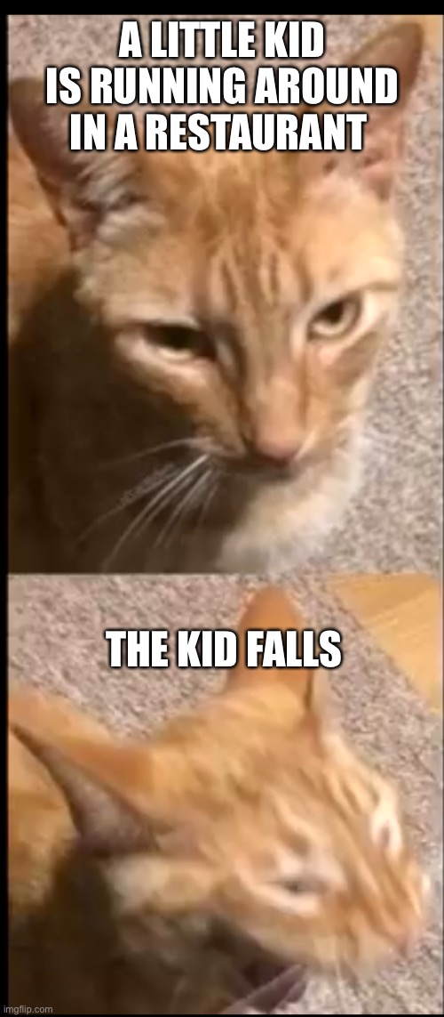 Kids are annoying | A LITTLE KID IS RUNNING AROUND IN A RESTAURANT; THE KID FALLS | image tagged in funny | made w/ Imgflip meme maker