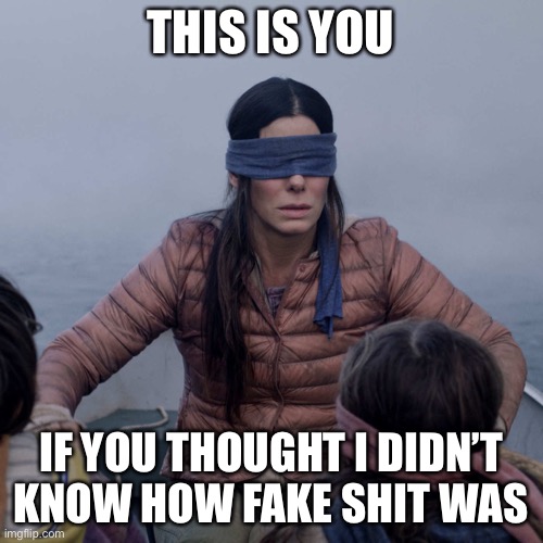 Bird Box | THIS IS YOU; IF YOU THOUGHT I DIDN’T KNOW HOW FAKE SHIT WAS | image tagged in memes,bird box | made w/ Imgflip meme maker