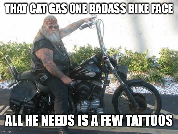 biker | THAT CAT GAS ONE BADASS BIKE FACE ALL HE NEEDS IS A FEW TATTOOS | image tagged in biker | made w/ Imgflip meme maker