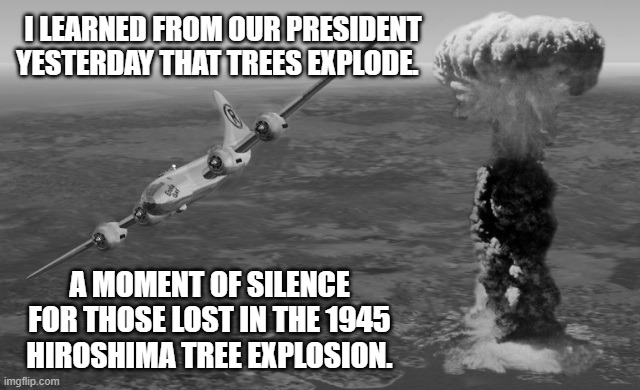 Hiroshima | I LEARNED FROM OUR PRESIDENT YESTERDAY THAT TREES EXPLODE. A MOMENT OF SILENCE FOR THOSE LOST IN THE 1945 HIROSHIMA TREE EXPLOSION. | image tagged in hiroshima | made w/ Imgflip meme maker