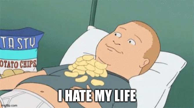 I dunno | I HATE MY LIFE | image tagged in bobby hill chips,potato,chips,bobby hill,memes,random | made w/ Imgflip meme maker