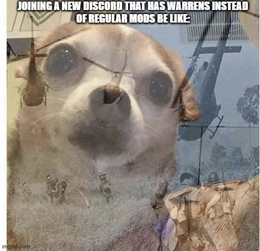 Discord Warrens | JOINING A NEW DISCORD THAT HAS WARRENS INSTEAD
OF REGULAR MODS BE LIKE: | image tagged in ptsd chihuahua | made w/ Imgflip meme maker