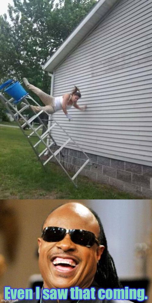 Even I saw that coming. | image tagged in stevie wonder,woman ladder accident | made w/ Imgflip meme maker