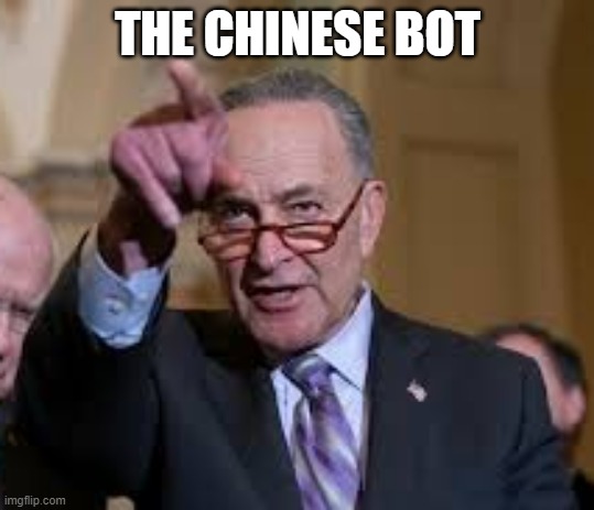 Schmuck Shumer | THE CHINESE BOT | image tagged in schmuck shumer | made w/ Imgflip meme maker