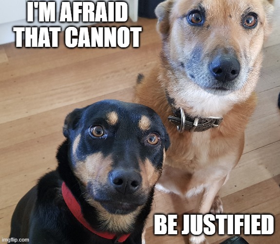 not justified | I'M AFRAID THAT CANNOT; BE JUSTIFIED | image tagged in justified text,not justified,cannot justify | made w/ Imgflip meme maker