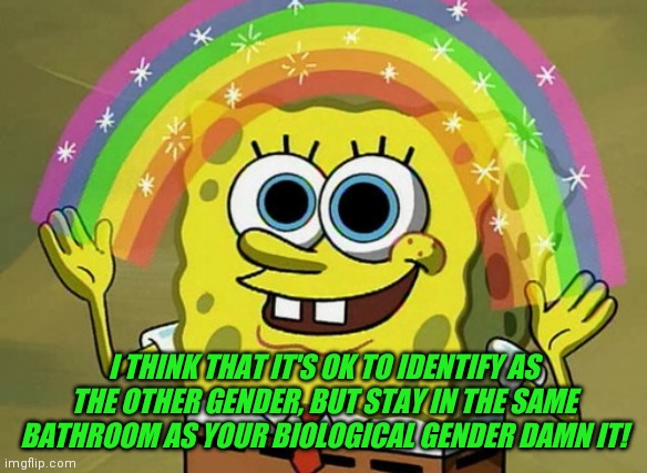 Imagination Spongebob | I THINK THAT IT'S OK TO IDENTIFY AS THE OTHER GENDER, BUT STAY IN THE SAME BATHROOM AS YOUR BIOLOGICAL GENDER DAMN IT! | image tagged in memes,imagination spongebob | made w/ Imgflip meme maker