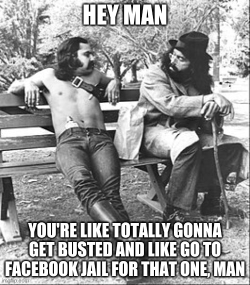 Cheech Chong FB Jail | HEY MAN; YOU'RE LIKE TOTALLY GONNA GET BUSTED AND LIKE GO TO FACEBOOK JAIL FOR THAT ONE, MAN | image tagged in cheech and chong | made w/ Imgflip meme maker