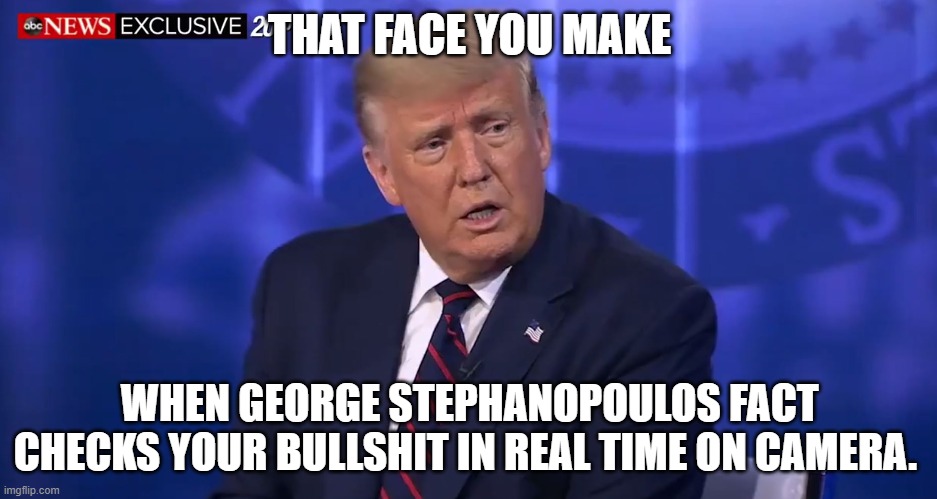 THAT FACE YOU MAKE; WHEN GEORGE STEPHANOPOULOS FACT CHECKS YOUR BULLSHIT IN REAL TIME ON CAMERA. | image tagged in donald trump,donald trump is an idiot | made w/ Imgflip meme maker