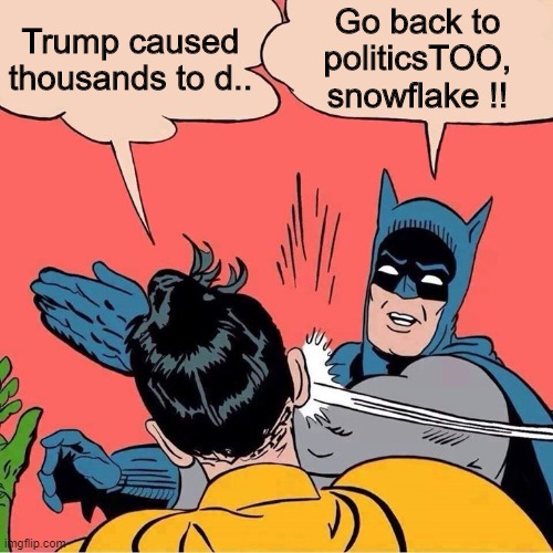 The politicsTOO stream is a landfill for memes. | Go back to politicsTOO, snowflake !! Trump caused thousands to d.. | image tagged in batman slapping robin,libtards | made w/ Imgflip meme maker