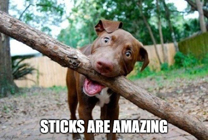 dog stick | STICKS ARE AMAZING | image tagged in dog stick | made w/ Imgflip meme maker