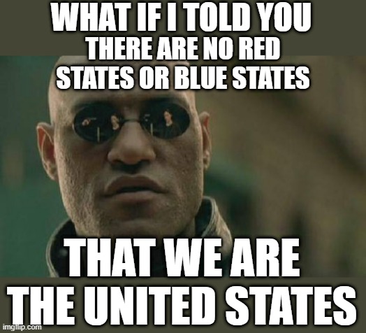 Matrix Morpheus | WHAT IF I TOLD YOU; THERE ARE NO RED STATES OR BLUE STATES; THAT WE ARE THE UNITED STATES | image tagged in memes,matrix morpheus,united states,united states of america,change my mind | made w/ Imgflip meme maker