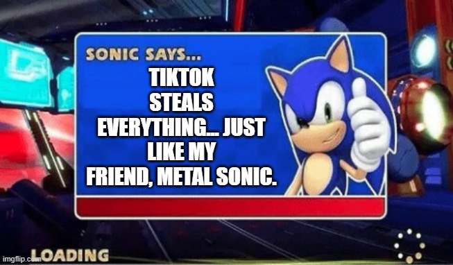 Sonic's new friend and a new fact | TIKTOK STEALS EVERYTHING... JUST LIKE MY FRIEND, METAL SONIC. | image tagged in sonic says,tiktok,memes,sonic the hedgehog | made w/ Imgflip meme maker