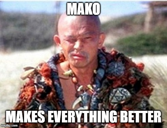 Conan Wizard (Akiro) | MAKO; MAKES EVERYTHING BETTER | image tagged in conan wizard akiro | made w/ Imgflip meme maker