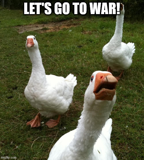 Gang of geese | LET'S GO TO WAR! | image tagged in gang of geese | made w/ Imgflip meme maker