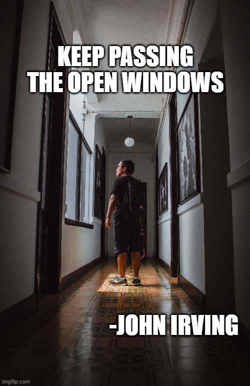 KEEP PASSING THE OPEN WINDOWS; -JOHN IRVING | image tagged in suicide,suicide hotline | made w/ Imgflip meme maker