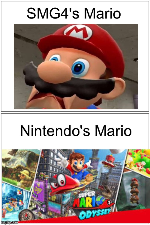 Smg4 vs Nintendo | SMG4's Mario; Nintendo's Mario | image tagged in memes,blank comic panel 1x2,nintendo,mario,smg4,luigi | made w/ Imgflip meme maker