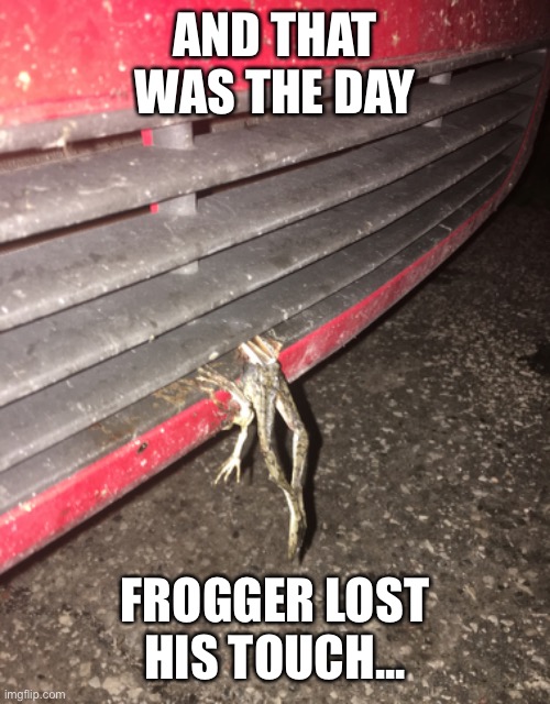 frogger lost | AND THAT WAS THE DAY; FROGGER LOST HIS TOUCH... | image tagged in gameover,frogger | made w/ Imgflip meme maker