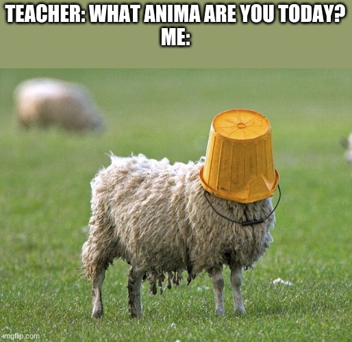 Me every day | TEACHER: WHAT ANIMA ARE YOU TODAY?
ME: | image tagged in stupid sheep,school meme | made w/ Imgflip meme maker