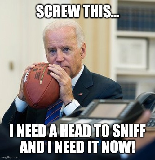 therapy | SCREW THIS... I NEED A HEAD TO SNIFF
AND I NEED IT NOW! | image tagged in joe biden,football,sniff | made w/ Imgflip meme maker