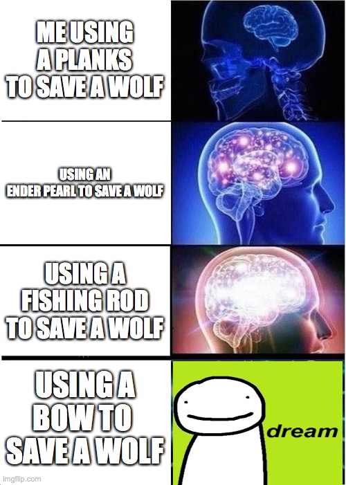 dream stats | ME USING A PLANKS TO SAVE A WOLF; USING AN ENDER PEARL TO SAVE A WOLF; USING A FISHING ROD TO SAVE A WOLF; USING A BOW TO 
SAVE A WOLF | image tagged in memes,expanding brain | made w/ Imgflip meme maker