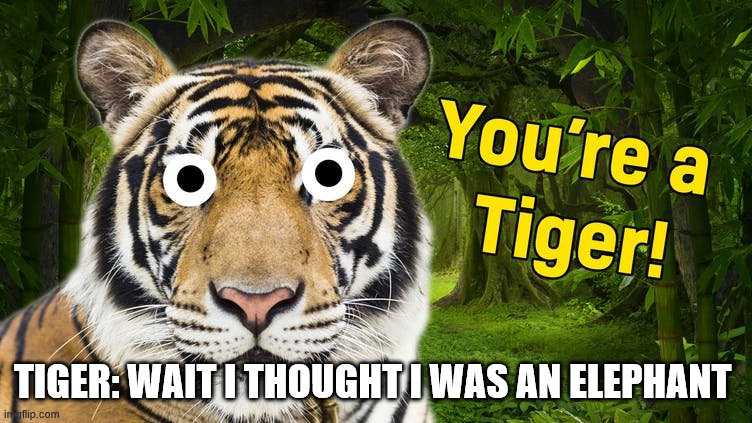 ;-; | TIGER: WAIT I THOUGHT I WAS AN ELEPHANT | image tagged in funny animals | made w/ Imgflip meme maker