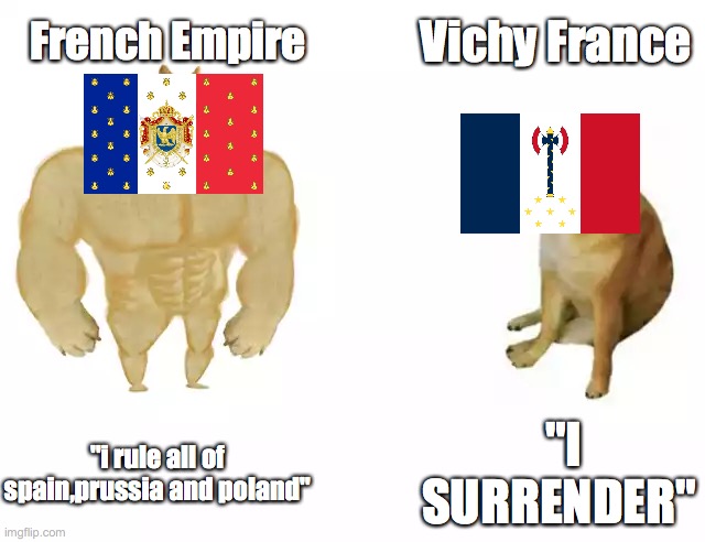 FRENCH HISTORY MEME | Vichy France; French Empire; "i rule all of spain,prussia and poland"; "I SURRENDER" | image tagged in buff doge vs cheems | made w/ Imgflip meme maker
