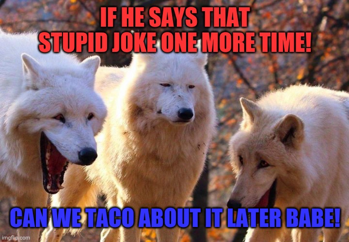 The face my wife makes when i tell a joke! | IF HE SAYS THAT STUPID JOKE ONE MORE TIME! CAN WE TACO ABOUT IT LATER BABE! | image tagged in laughing dogs with pissed dog,husband wife,bad joke,dumb puns | made w/ Imgflip meme maker