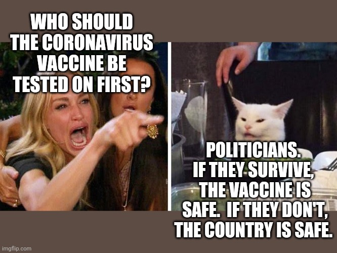 Smudge the cat | WHO SHOULD THE CORONAVIRUS VACCINE BE TESTED ON FIRST? POLITICIANS.  IF THEY SURVIVE,  THE VACCINE IS SAFE.  IF THEY DON'T, THE COUNTRY IS SAFE. | image tagged in smudge the cat | made w/ Imgflip meme maker