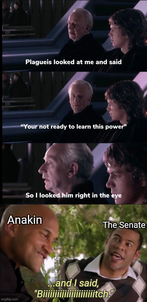 Anakin; The Senate; ...and I said, "Biiiiiiiiiiiiiiiiiiiiiitch." | made w/ Imgflip meme maker