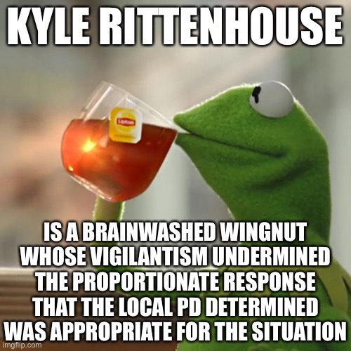 Make sense? If it doesn’t, you probably care more about killing liberals than supporting police. | KYLE RITTENHOUSE IS A BRAINWASHED WINGNUT WHOSE VIGILANTISM UNDERMINED THE PROPORTIONATE RESPONSE THAT THE LOCAL PD DETERMINED WAS APPROPRIA | image tagged in memes,but that's none of my business,kermit the frog,police brutality,protestors,black lives matter | made w/ Imgflip meme maker