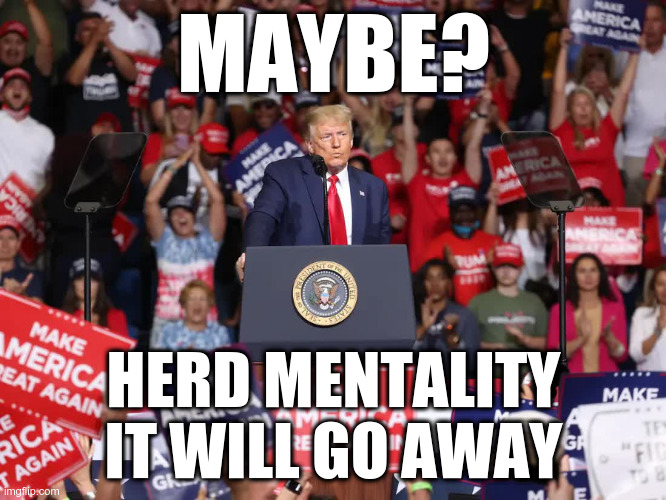 Maybe Herd Mentality Will Go Away | MAYBE? HERD MENTALITY
IT WILL GO AWAY | image tagged in trump,trump rally,pandemic | made w/ Imgflip meme maker
