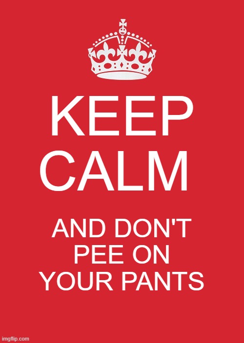 Keep Calm And Carry On Red | KEEP CALM; AND DON'T PEE ON YOUR PANTS | image tagged in memes,keep calm and carry on red | made w/ Imgflip meme maker