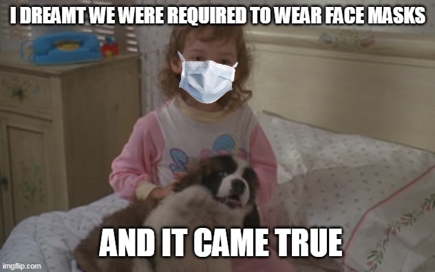I dreamt we were required to wear face masks, and it came true. | I DREAMT WE WERE REQUIRED TO WEAR FACE MASKS; AND IT CAME TRUE | image tagged in and it came true,memes,emily newton,beethoven,face mask | made w/ Imgflip meme maker