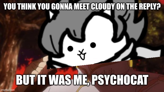 YOU THINK YOU GONNA MEET CLOUDY ON THE REPLY? BUT IT WAS ME, PSYCHOCAT | made w/ Imgflip meme maker