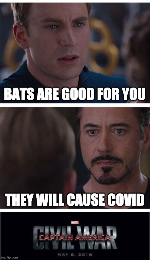 covid | BATS ARE GOOD FOR YOU; THEY WILL CAUSE COVID | image tagged in memes,marvel civil war 1 | made w/ Imgflip meme maker