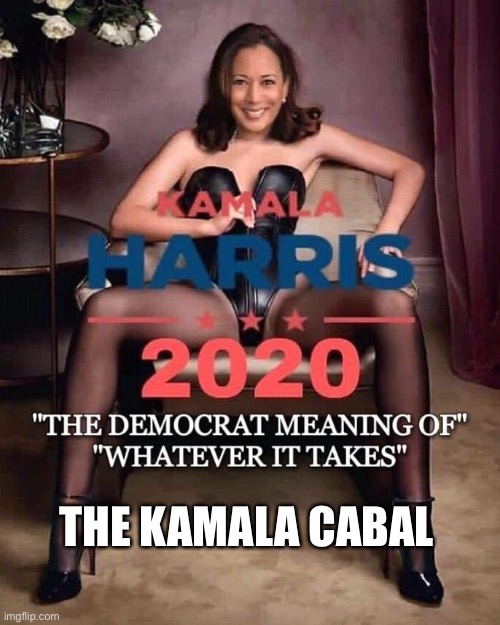 Kamala Cabal | THE KAMALA CABAL | image tagged in kamala harris 2020 | made w/ Imgflip meme maker