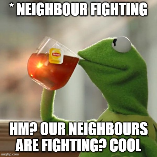 But That's None Of My Business Meme | * NEIGHBOUR FIGHTING; HM? OUR NEIGHBOURS ARE FIGHTING? COOL | image tagged in memes,but that's none of my business,kermit the frog | made w/ Imgflip meme maker